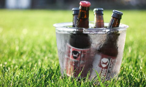 best ice buckets bucket on green lawn