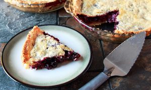 best pie servers durable decorative serrated server slice of with