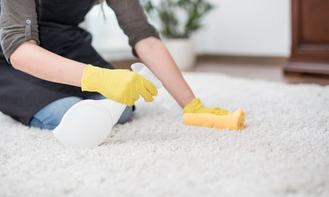 Carpet cleaning spray on stained carpet
