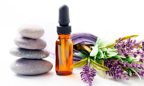 Lavender flowers and aromatherapy oil, studio shot