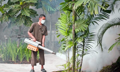 best foggers for fleas roaches and bugs anti insect  mosquito fumigation