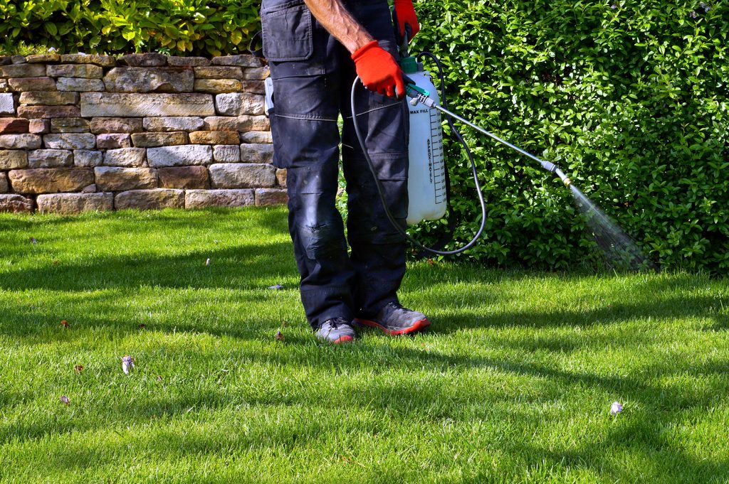 Person spraying a lawn with fertilizer.