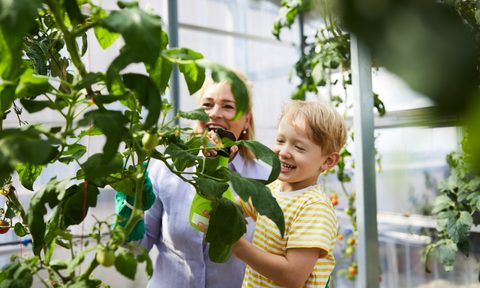 best plant food for gardens playful grandmother and grandson in garden