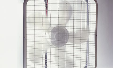 best box fans fan