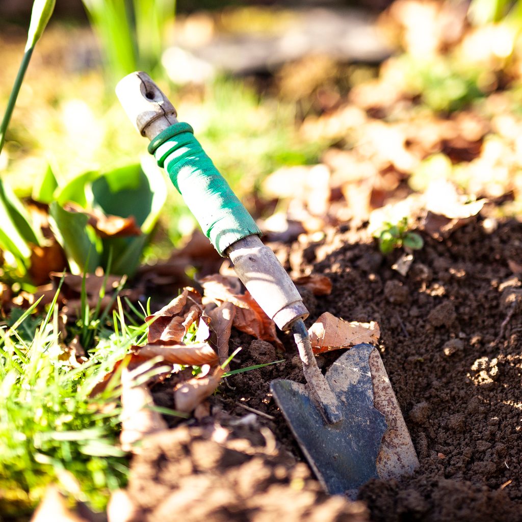 gardening tool in dirt