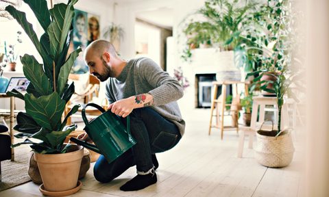 best plants to purify the air full length of man kneeling while watering potted plant at home