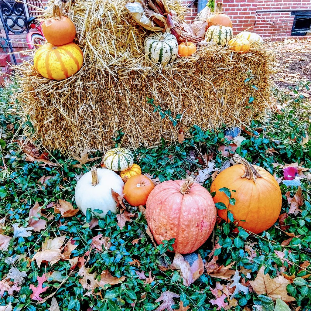 Front yard fall decor