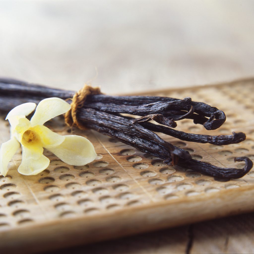 vanilla pods with flower
