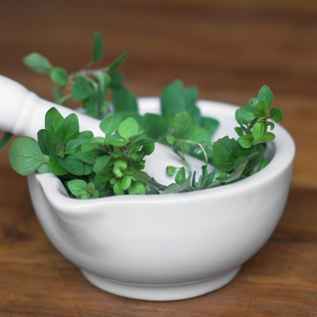 marjoram in stone grinding bowl