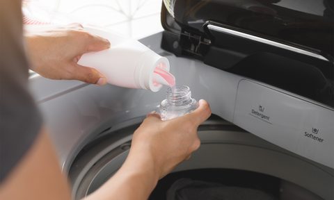 Laundry sanitzer
