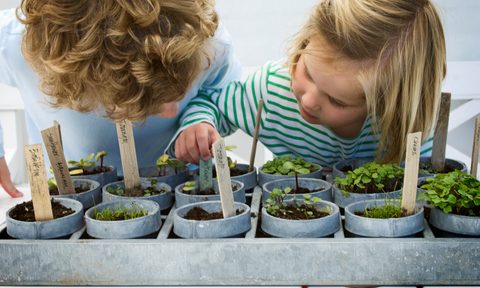 Children looking at mixed potted seedlings