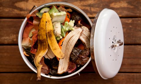 Fruit and vegetable scraps in compost bin