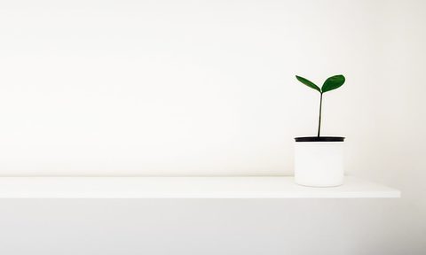 the best wall shelves floating