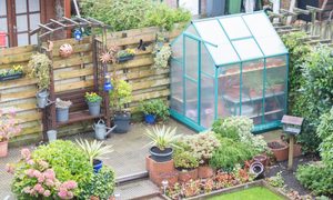 the best greenhouses that are small greenhouse in a garden