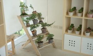 the best ladder shelf shelves