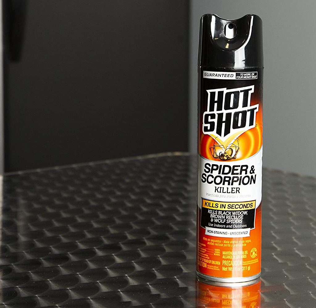 Can of Hot Shot Spider & Scorpion Killer