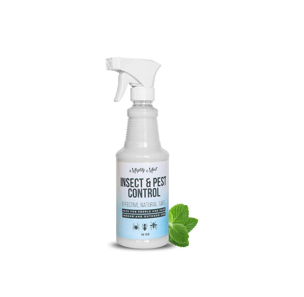 Spray bottle of Mighty Mint Pest Control Peppermint Oil on white background