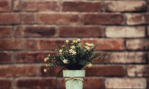 exposed brick wall