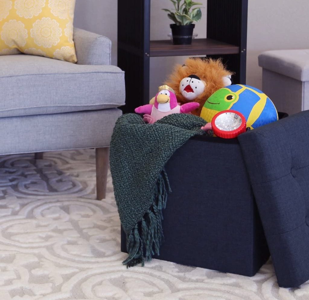 Storage ottoman with toys inside in living room