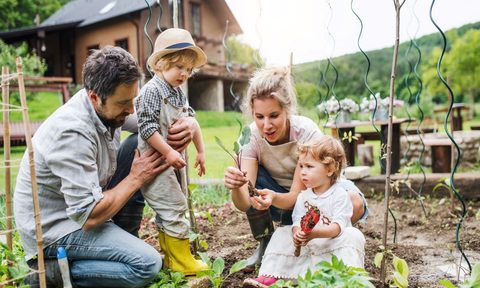 why gardening is sanity saving downtime for the whole family fam