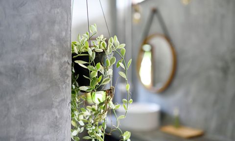 woman hanging plant