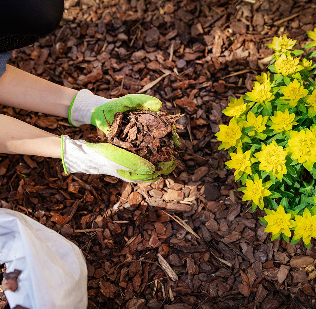 make garden mulch