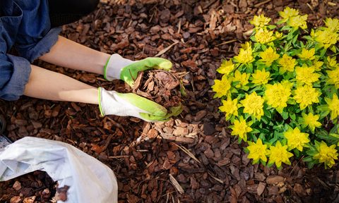 make garden mulch