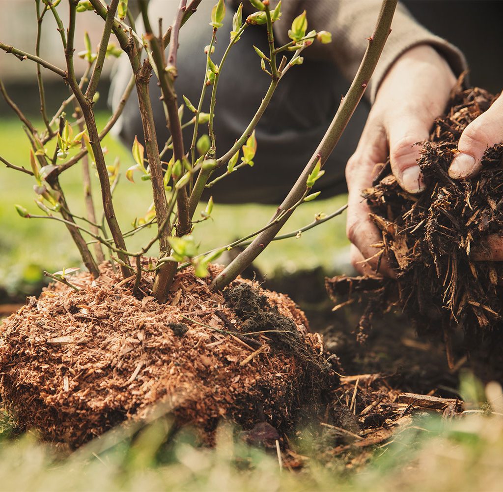 make garden mulch