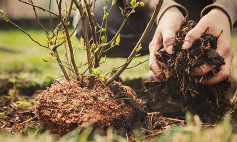 make garden mulch