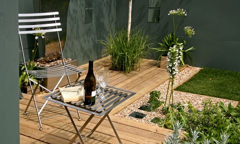 small side yard with minimal sunlight these are the vegetables you should grow shaded garden