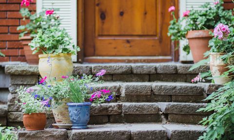 curb appeal low maintenenace stairs with potted flowers resized