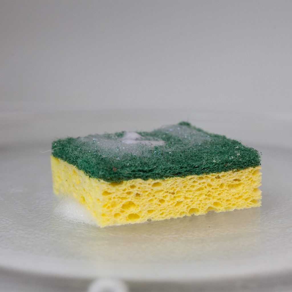 Sponge in microwave oven