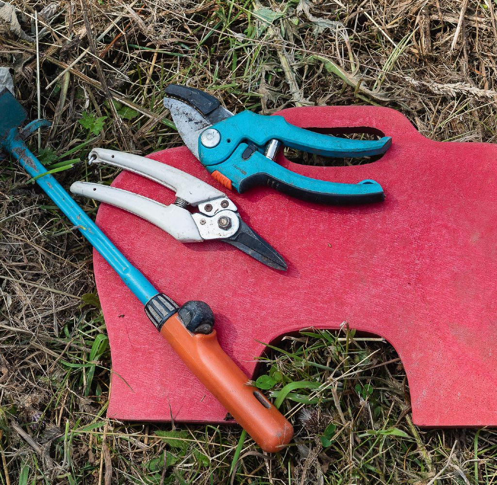 garden kneeling pad and tools