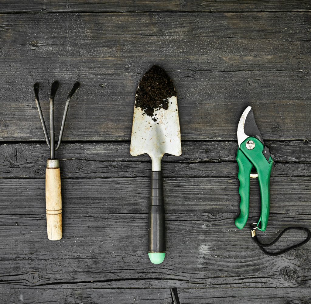 Garden tools: trowel, spade, shears