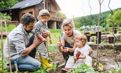 family gardening