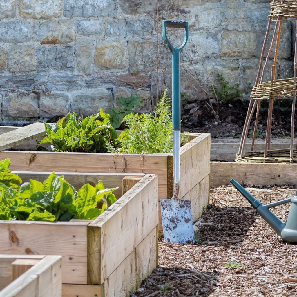 Plants in large wooden structures with shovel
