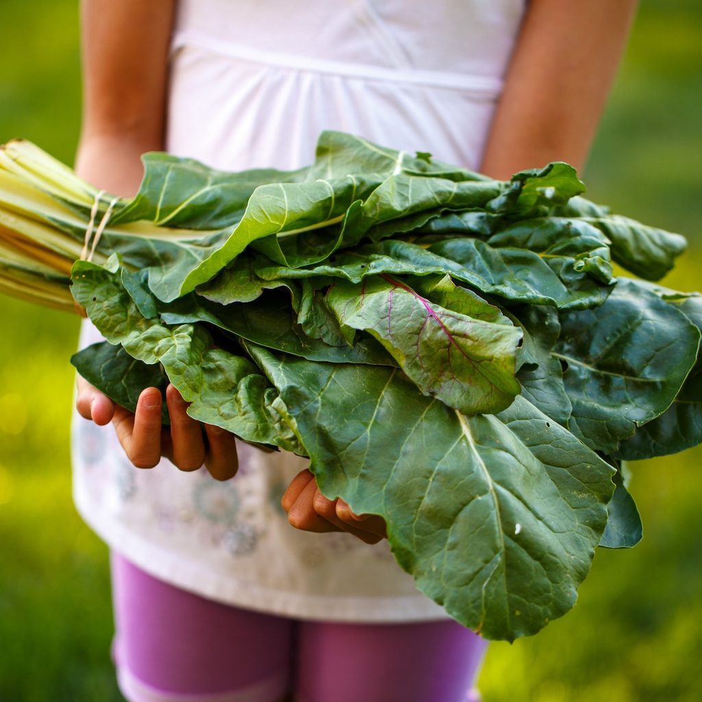 girl holding lettuce bunch