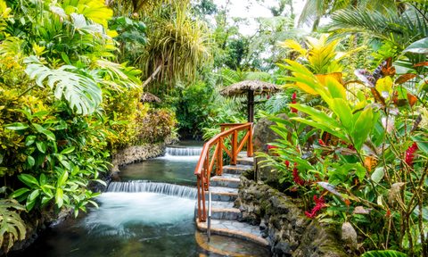 aqua gardening diy outdoor water garden mike swigunski