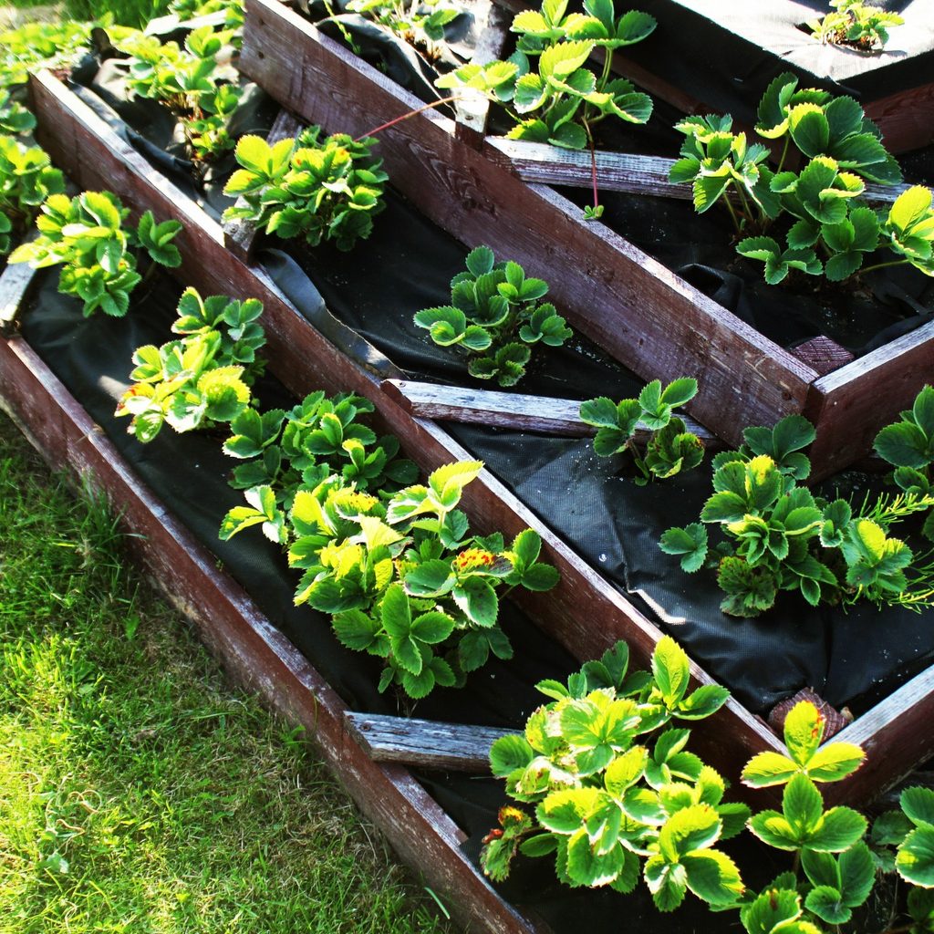 Raised pyramid garden outdoors