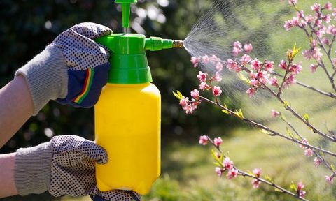 want to keep bugs out here are the 7 best preventative pest control methods weve seen spray