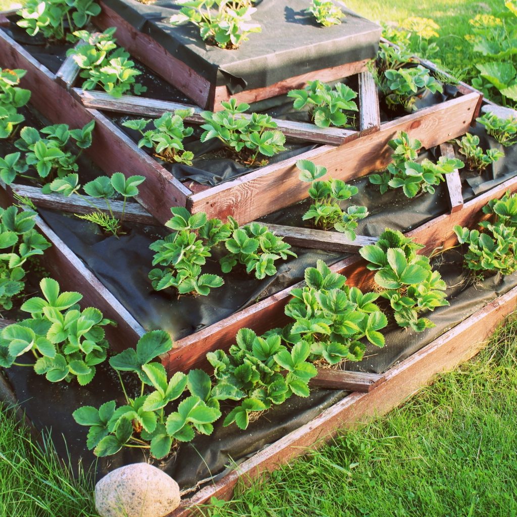 Raised pyramid garden outdoors