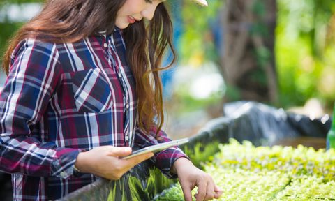Young woman inspecting a hydroponic garden