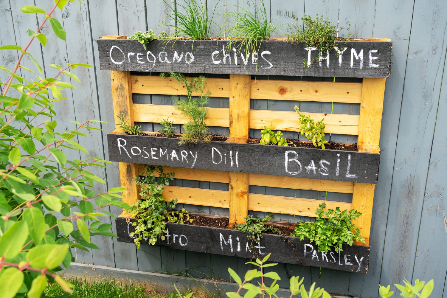 herb pallet gardenscape