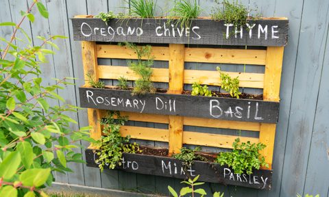 herb pallet gardenscape