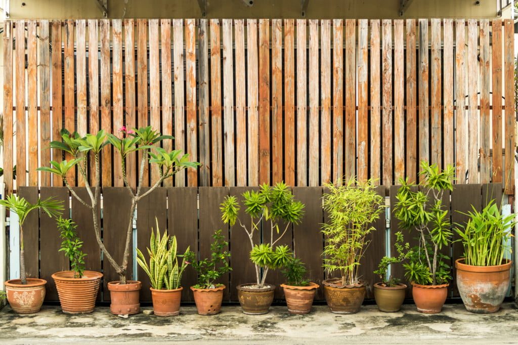 Vertical fence with plants