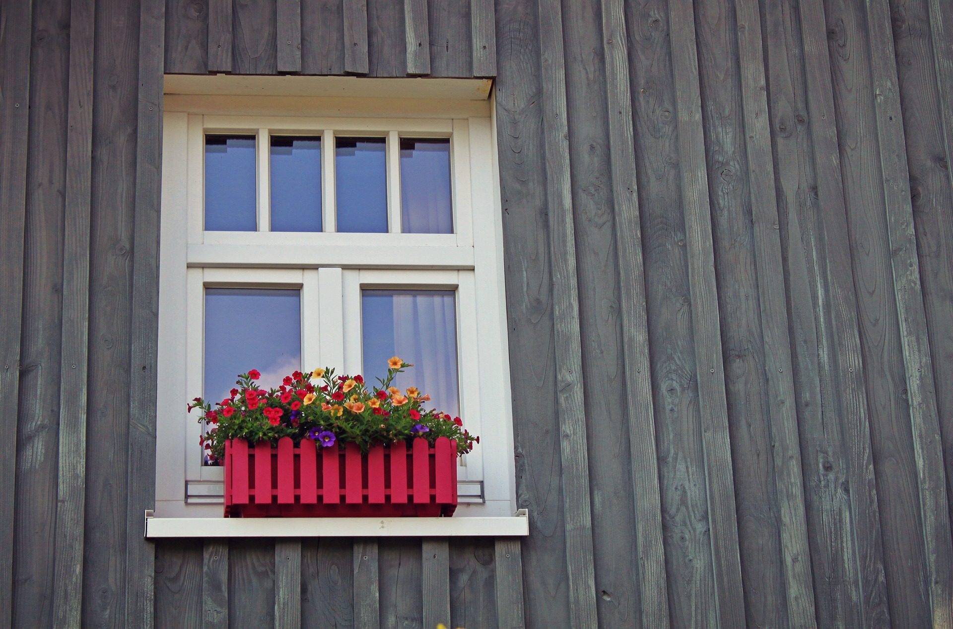 Flowers bloom to overflowing their window box, which hangs outside an old-fashioned window