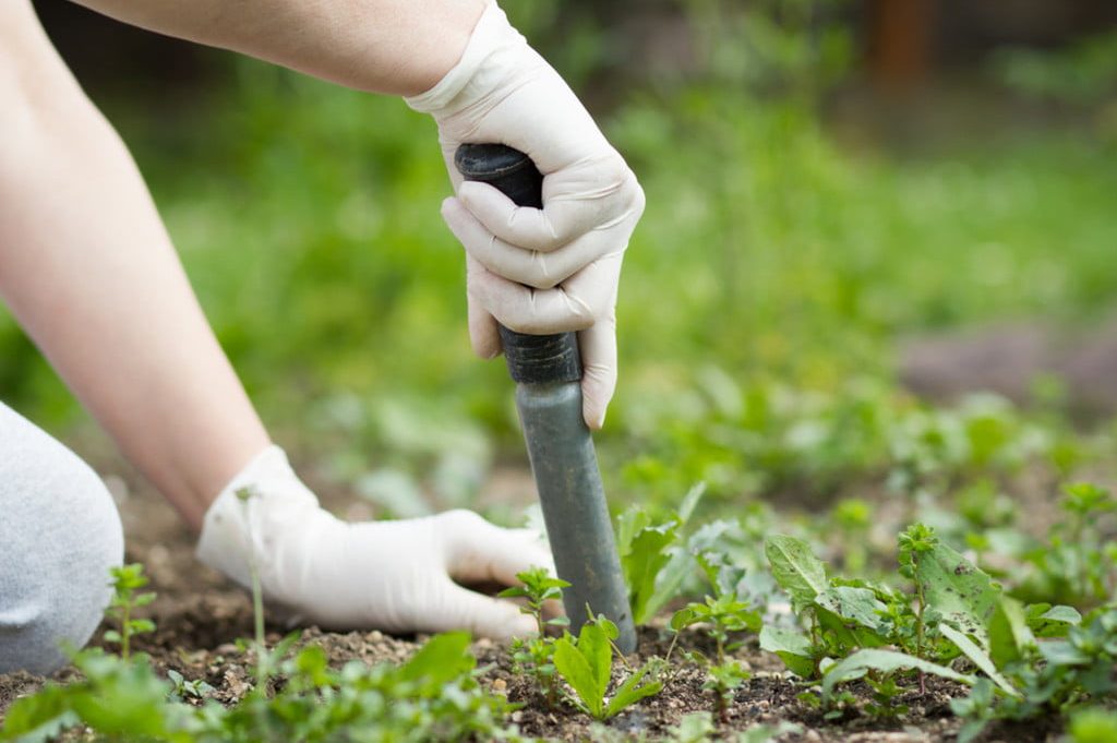 Person using tool to remove weeds.