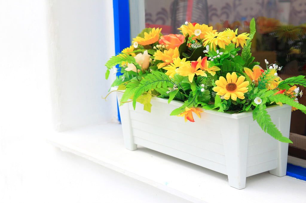 white window box with yellow flowers