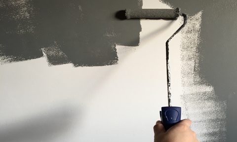 A light-skinned hand holds up a paint roller in front of a wall that is half grey, half white.