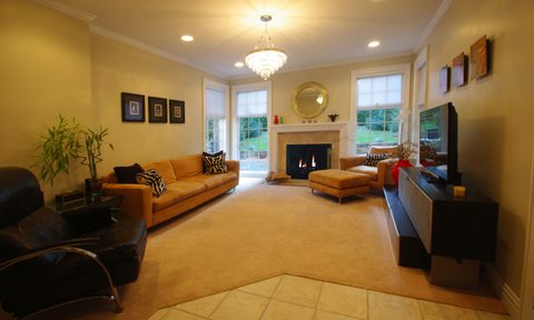 Living room with fancy furniture, fireplace, and crown molding